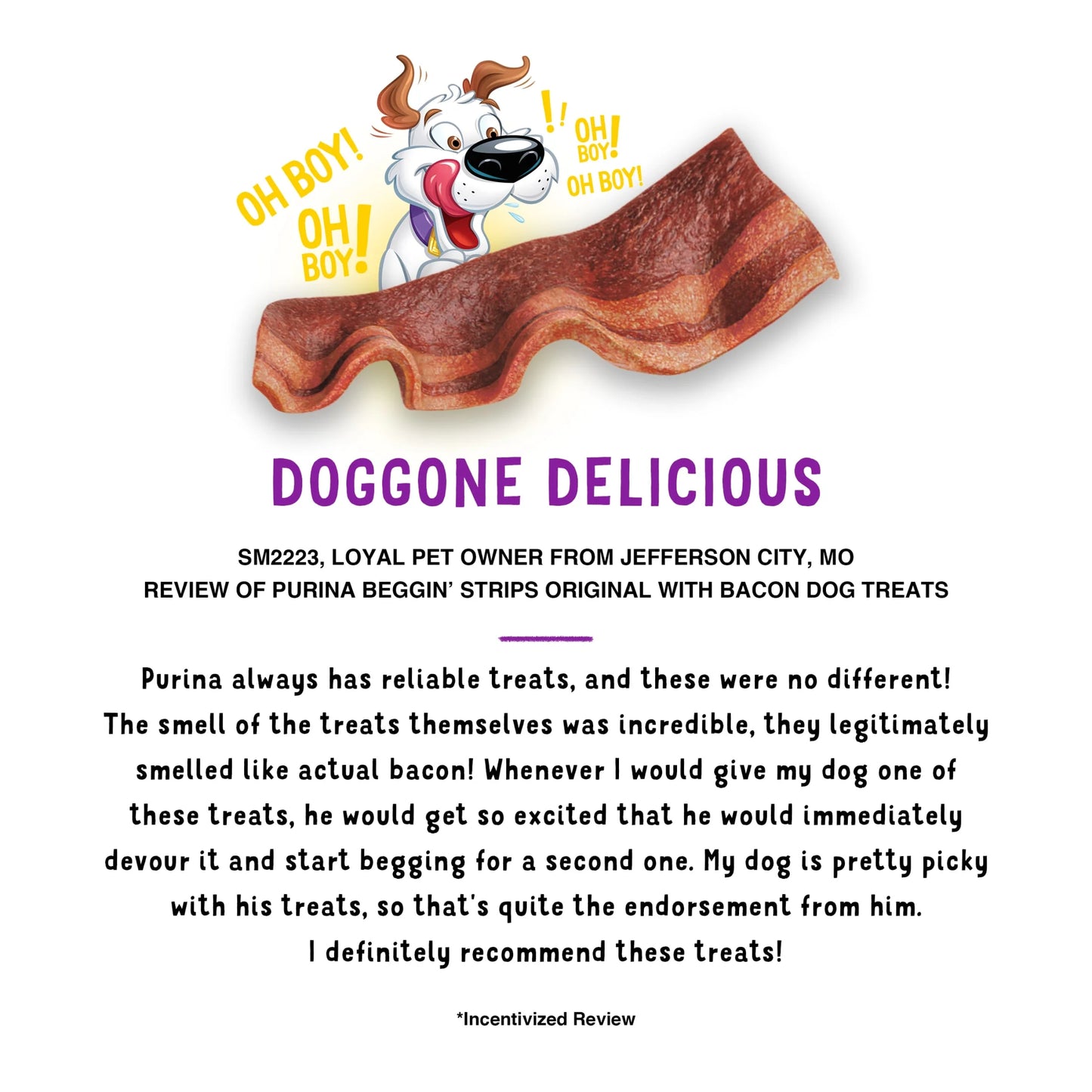 Purina  Strips Original Dog Treats with Real Bacon, 6 oz Pouch