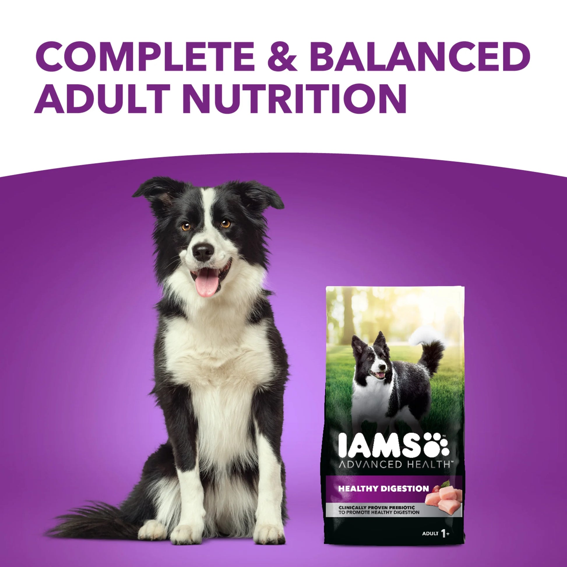 Advanced Health Adult Dry Dog Food for Healthy Digestion with Real Chicken, 13.5 lb Bag