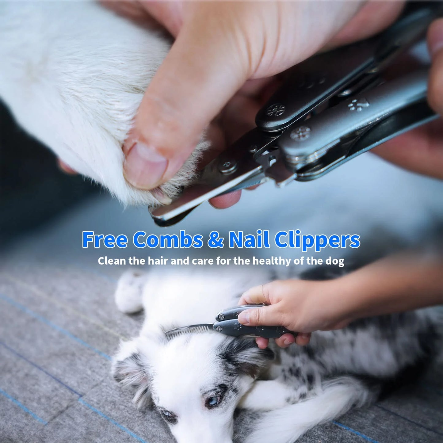 Deluxe Professional Dog Nail Clippers for All Breeds, Safe and Heavy-Duty Trimmers for Sensitive Dogs with Thick Nails