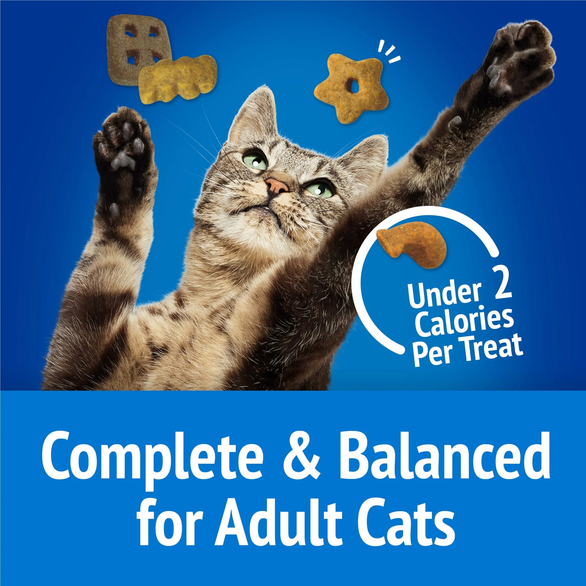 Purina  Party Mix Beachside Crunch Cat Treats with Shrimp, Crab, and Tuna, 6 oz Bag
