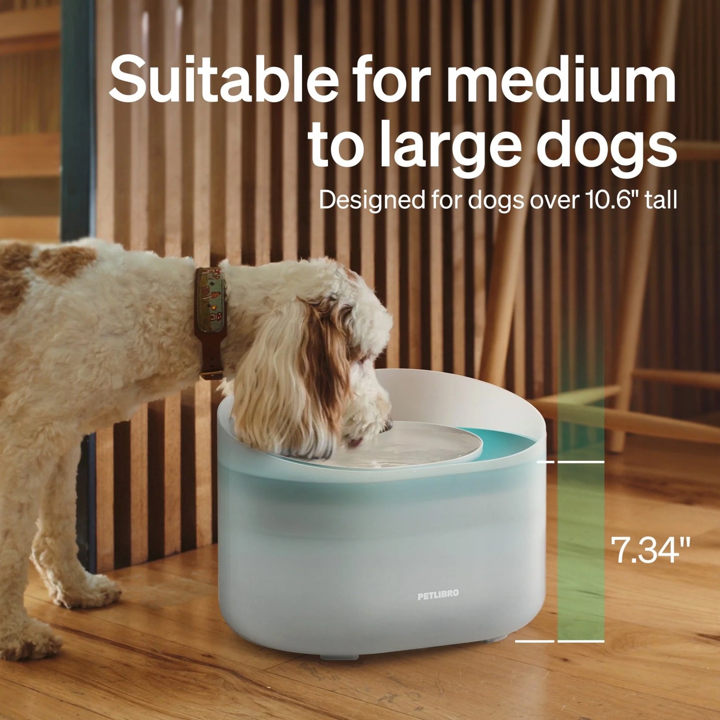 270 Oz (2.1 Gal / 8 L) Capsule Dog Water Fountain – Splash-Resistant and Ultra-Quiet Dispenser for Medium to Large Dogs, Perfect for Multi-Pet Households