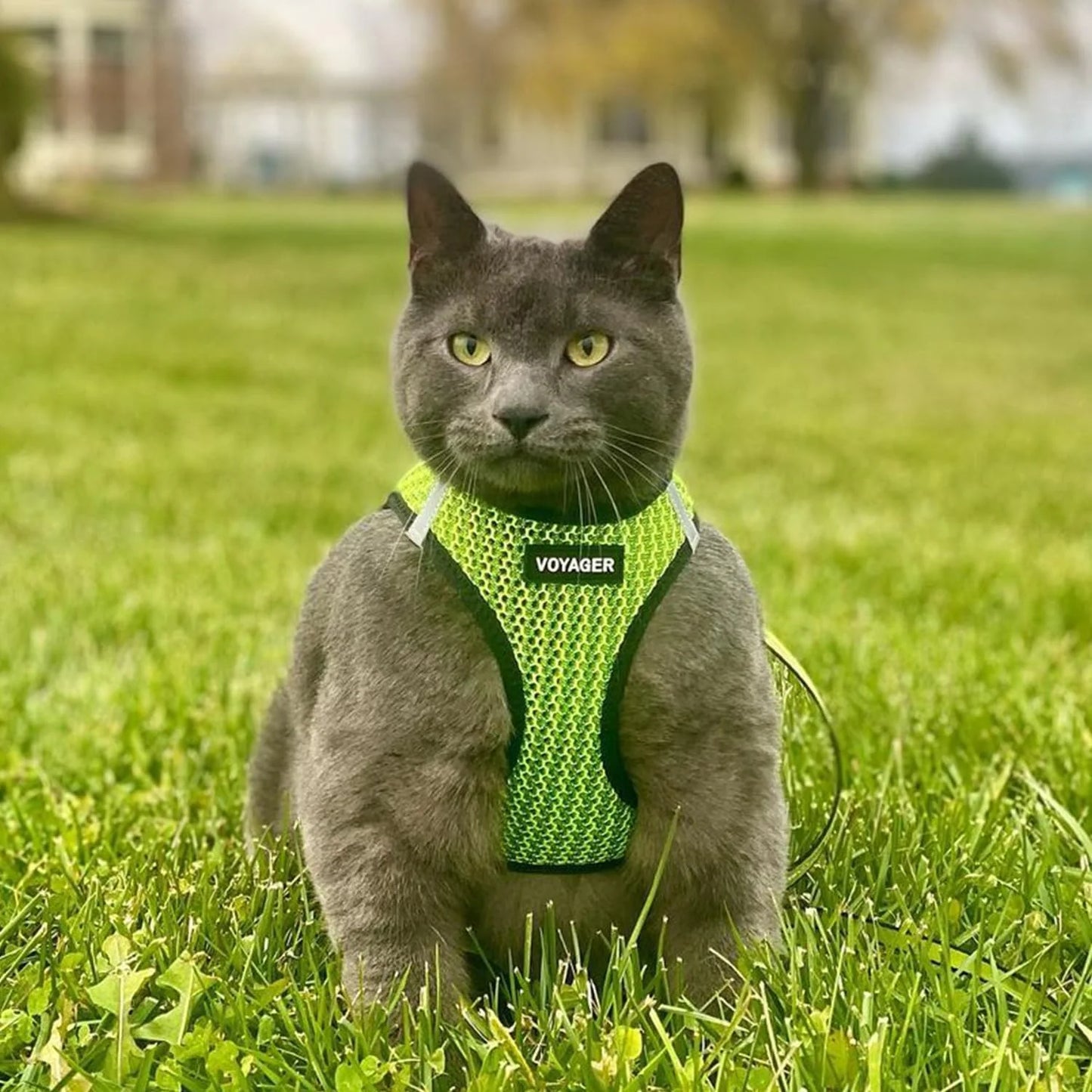 Step-In Air Mesh Dog Harness by