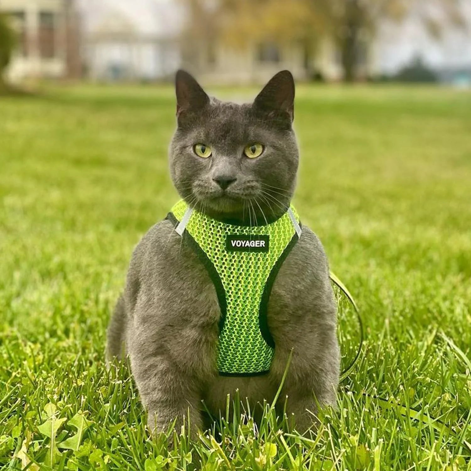 Step-In Air Mesh Dog Harness by