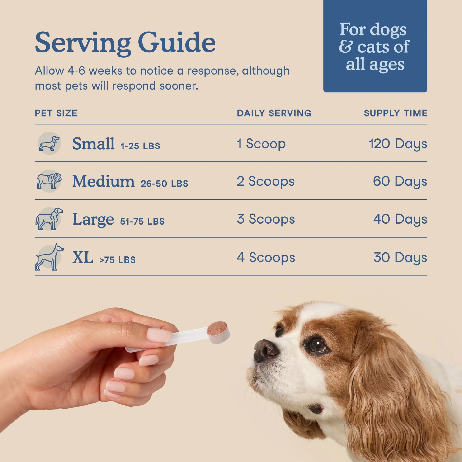 Postbiotics Plus Powder for Dogs and Cats - Promotes Gut Health and Immune Support - 120 Scoops