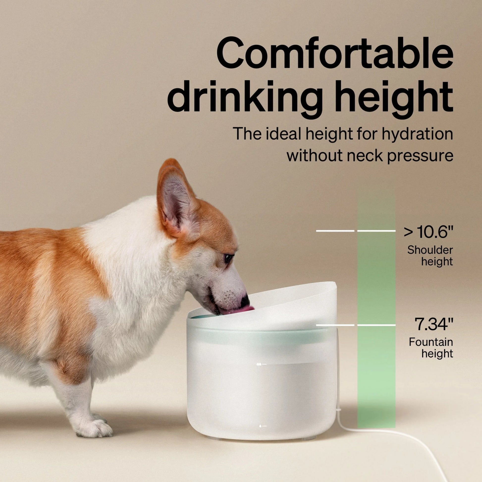270 Oz (2.1 Gal / 8 L) Capsule Dog Water Fountain – Splash-Resistant and Ultra-Quiet Dispenser for Medium to Large Dogs, Perfect for Multi-Pet Households