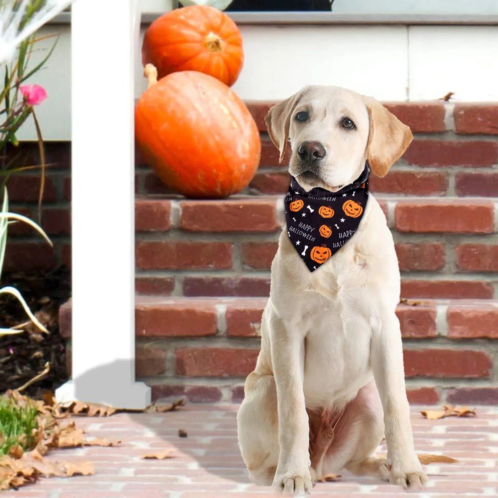 Halloween Dog Bandanas - Soft, Washable Pet Scarves Featuring Festive Pumpkin, Ghost, and Bone Designs for Small, Medium, and Large Dogs (Black, Purple)