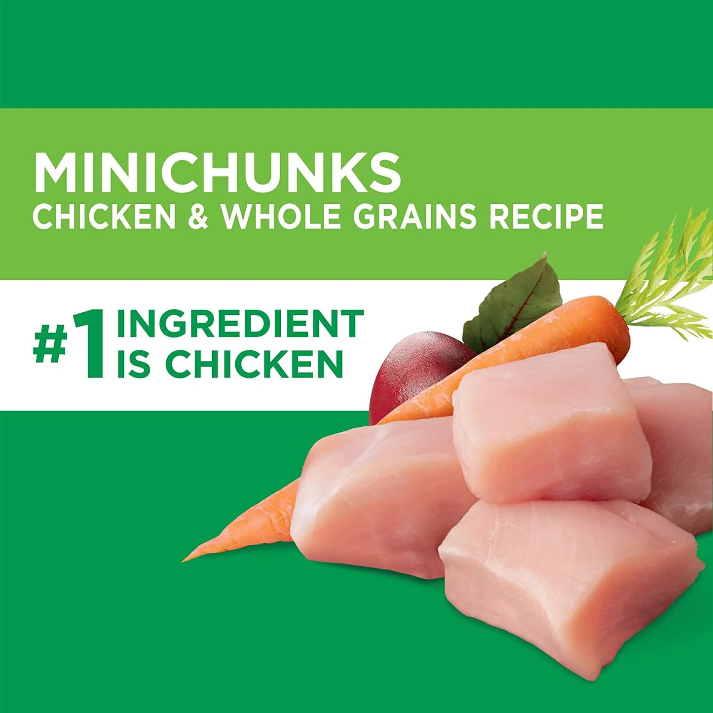 Adult Dry Dog Food with Chicken Minichunks