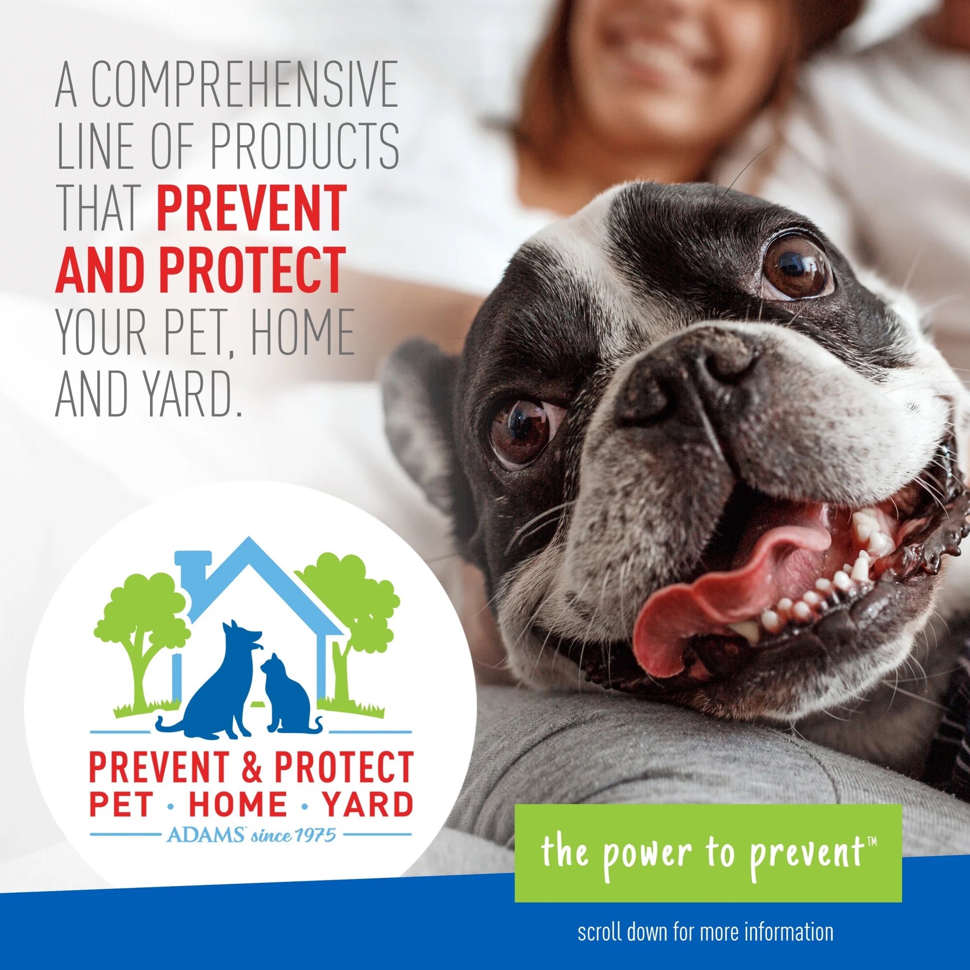 Flea and Tick Control Collar for Dogs and Puppies - Single Pack