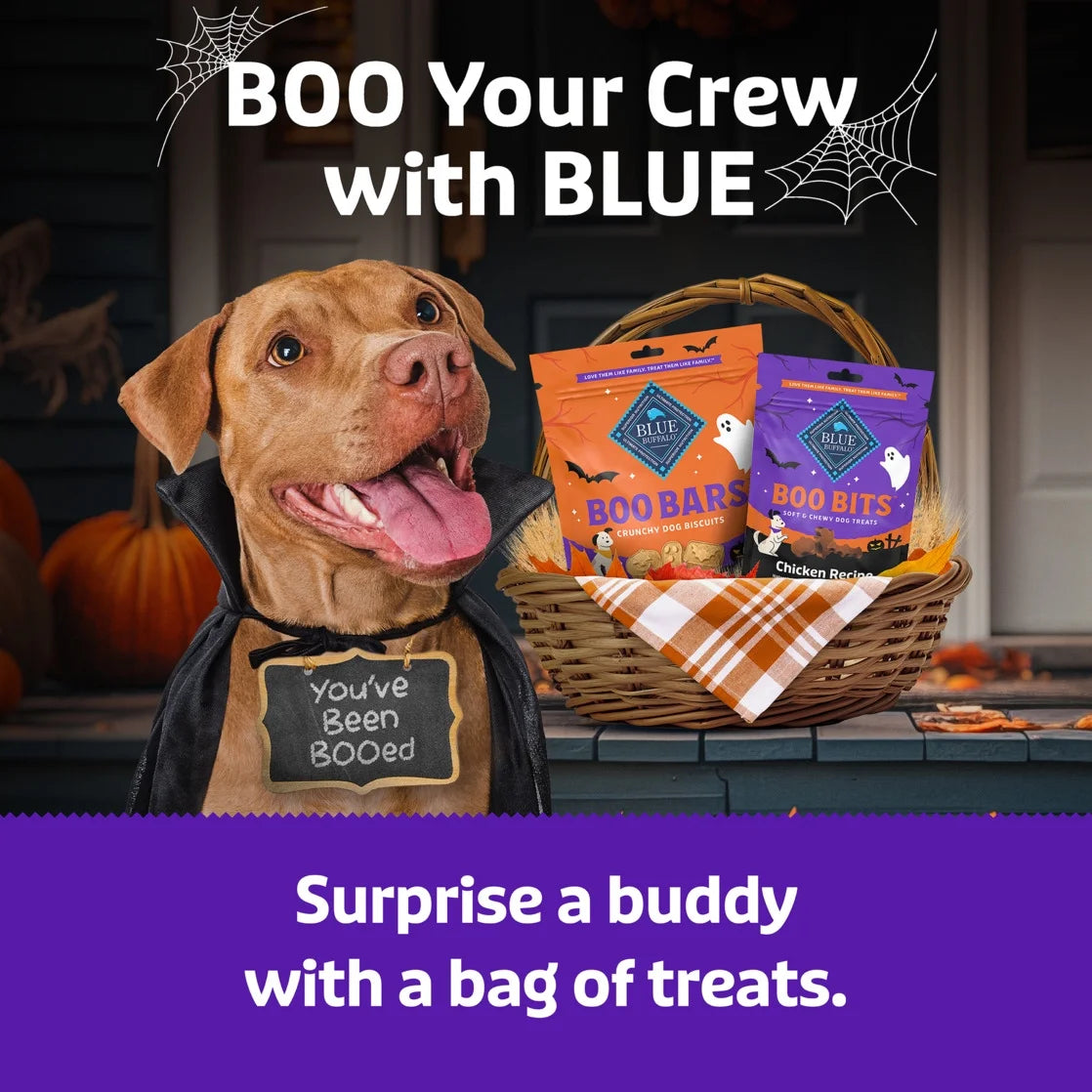 Boo Bits Soft & Chewy Halloween Dog Treats with Tasty Chicken Recipe, 4.5 oz