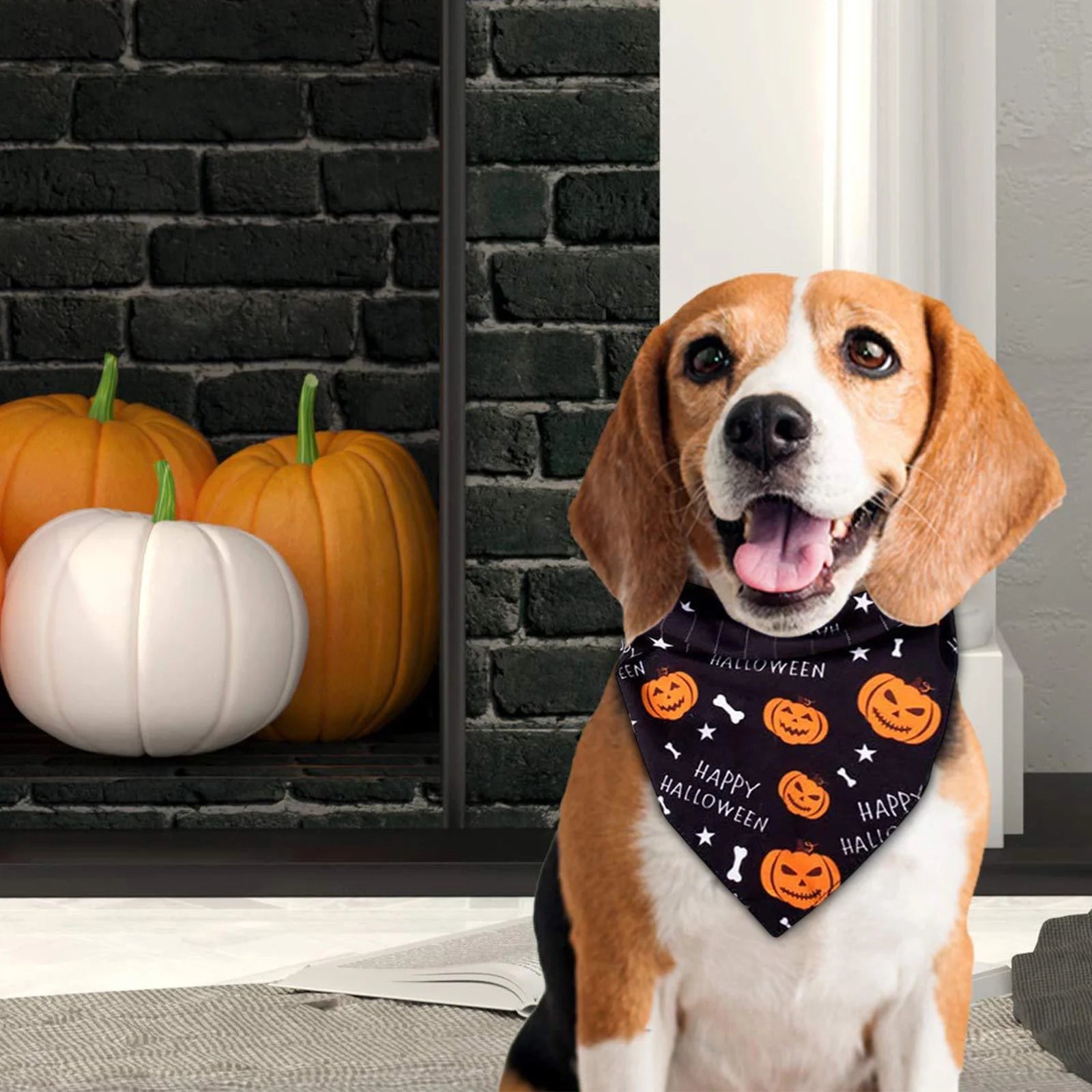 Halloween Dog Bandanas - Soft, Washable Pet Scarves Featuring Festive Pumpkin, Ghost, and Bone Designs for Small, Medium, and Large Dogs (Black, Purple)