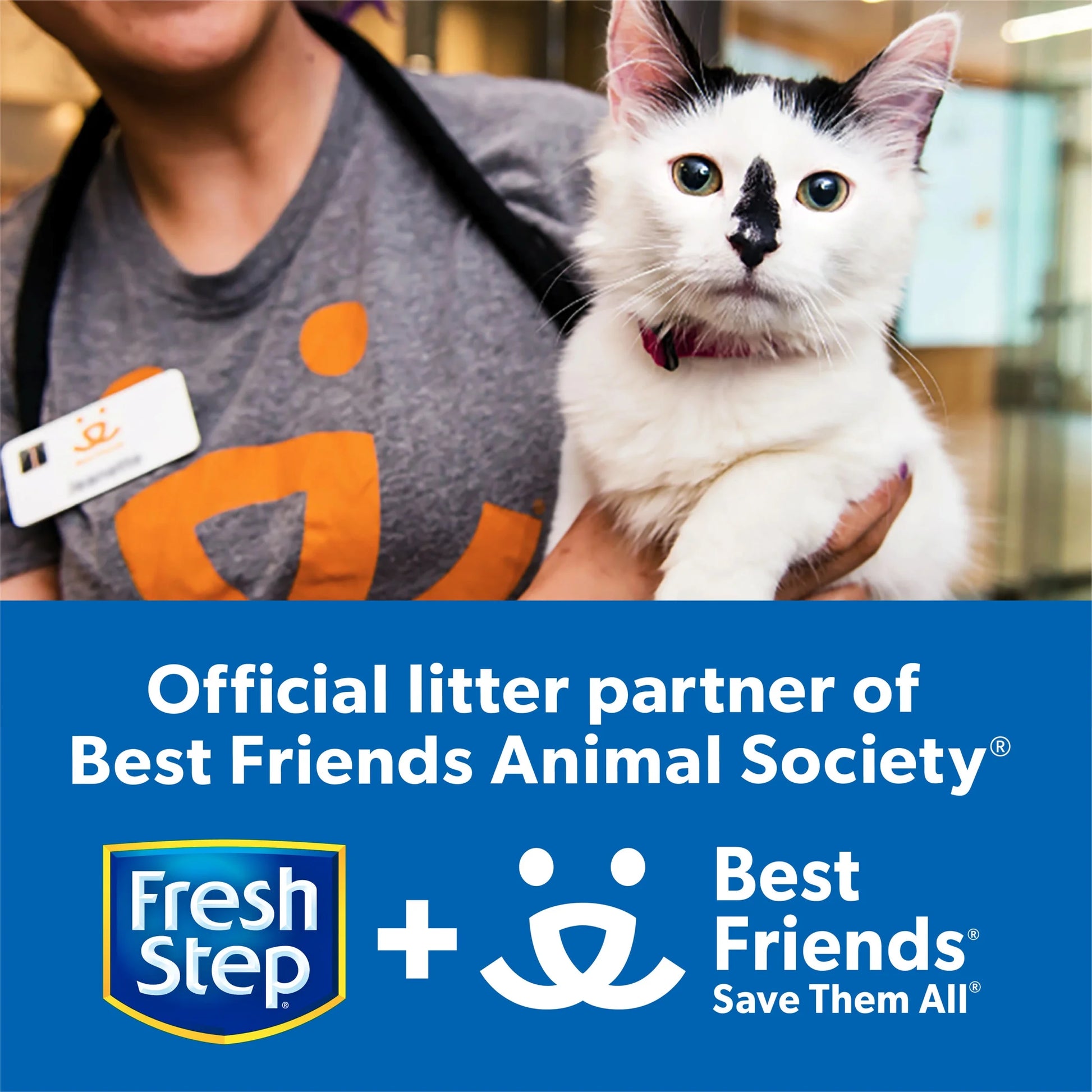 Multi-Cat Scented Clumping Cat Litter with the Power of Febreze, 38 Lbs