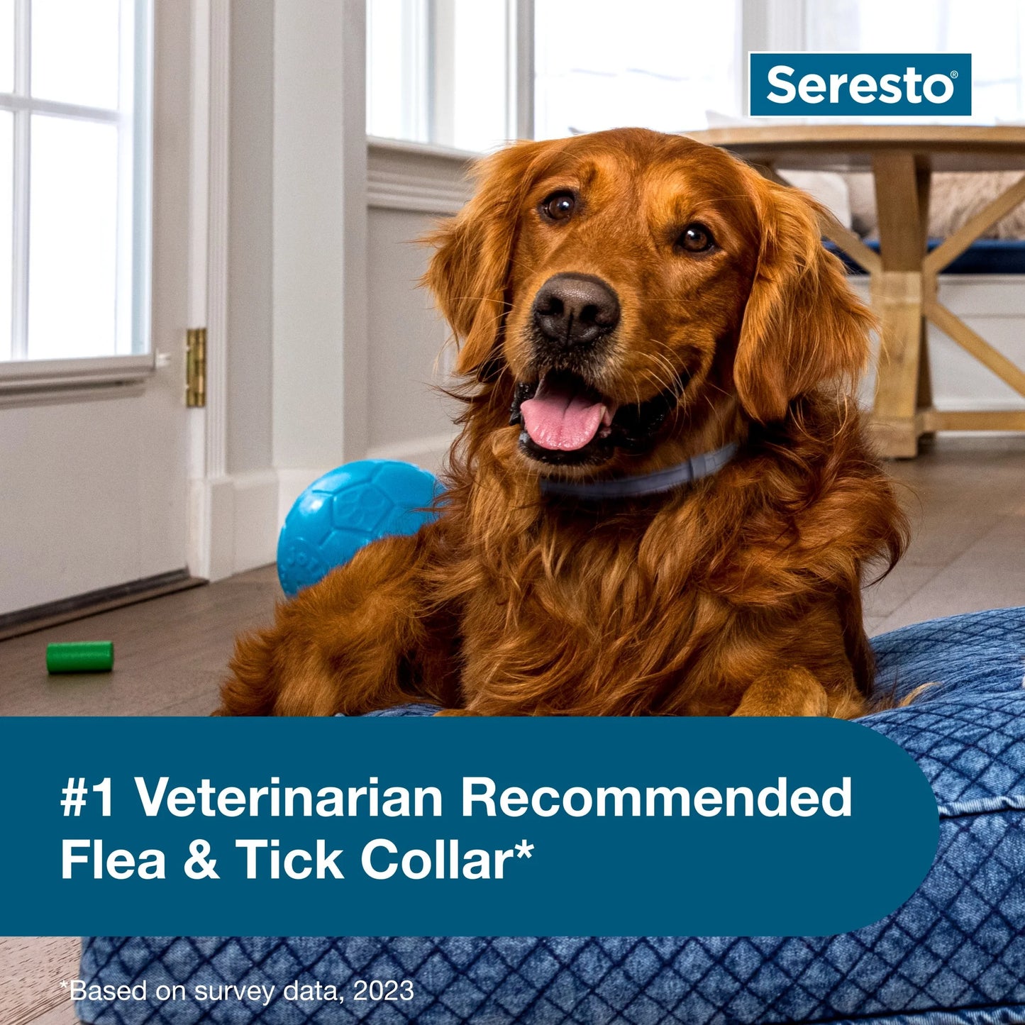 8-Month Flea and Tick Prevention Collar for Large Dogs (18+ lbs) - 2 Pack, Vet-Recommended