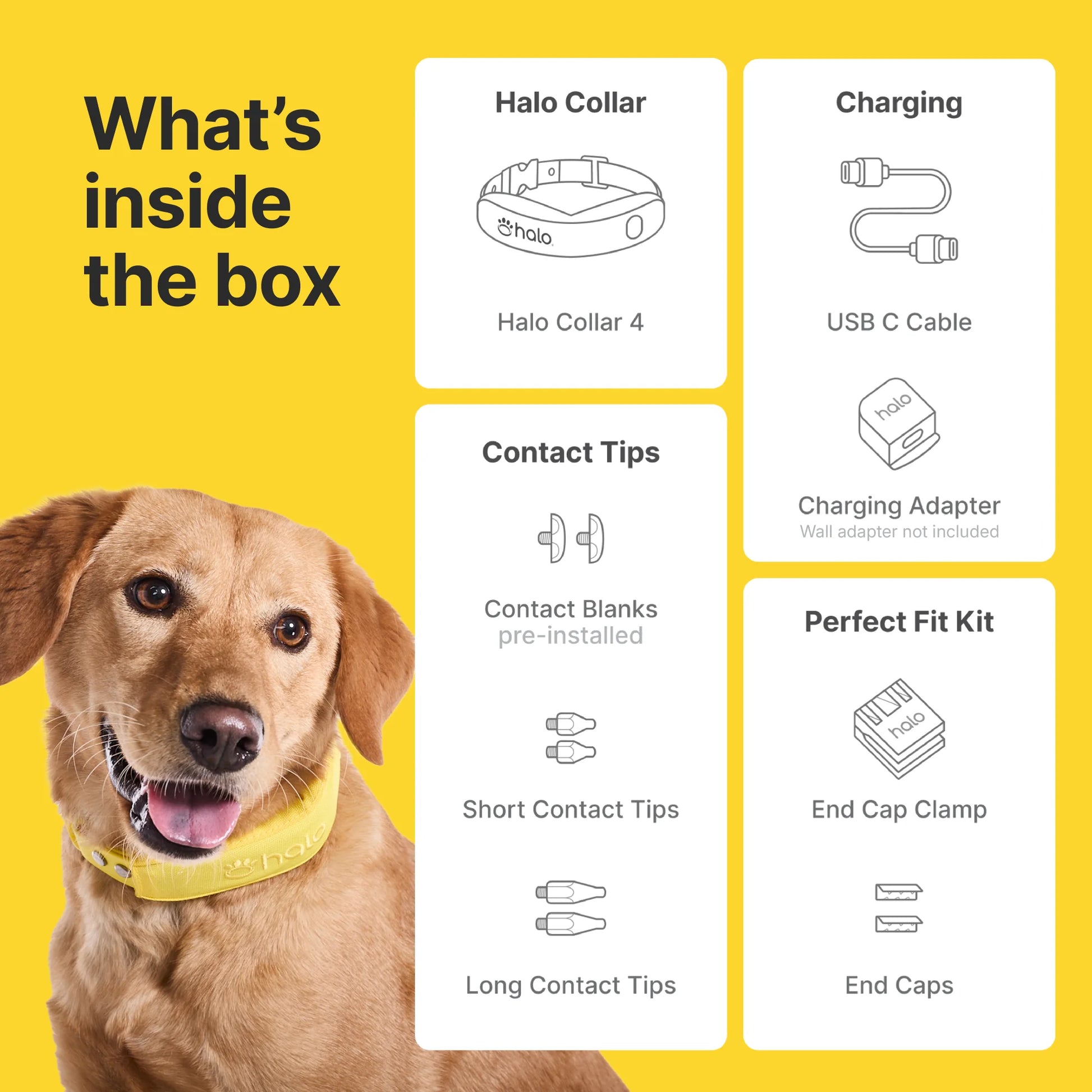 Halo Collar 4: Advanced GPS Wireless Dog Fence with Real-Time Tracking in Graphite