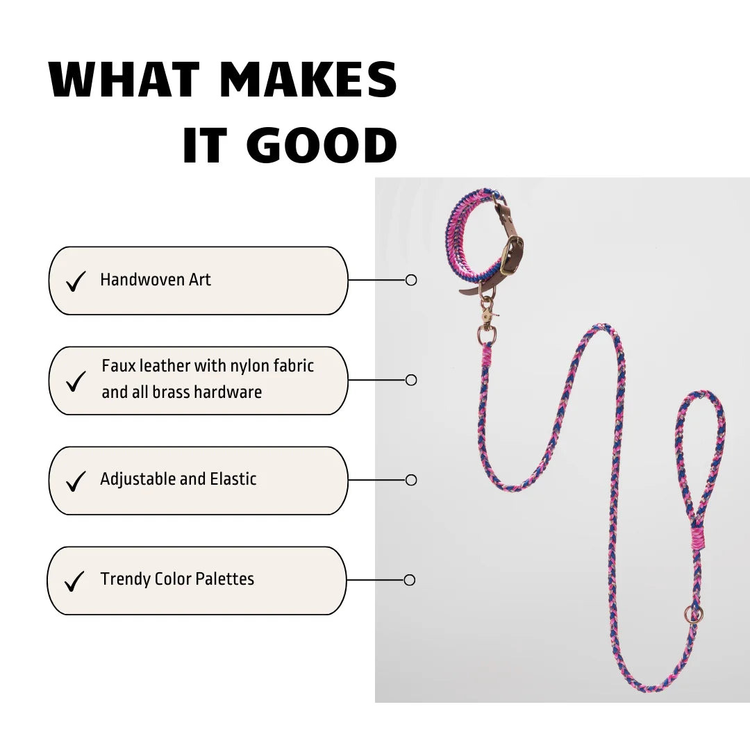 Adjustable Dog Collar and Leash Set, Reflective Collars with Brass Buckle and D-Ring for Medium Dogs Walking and Training