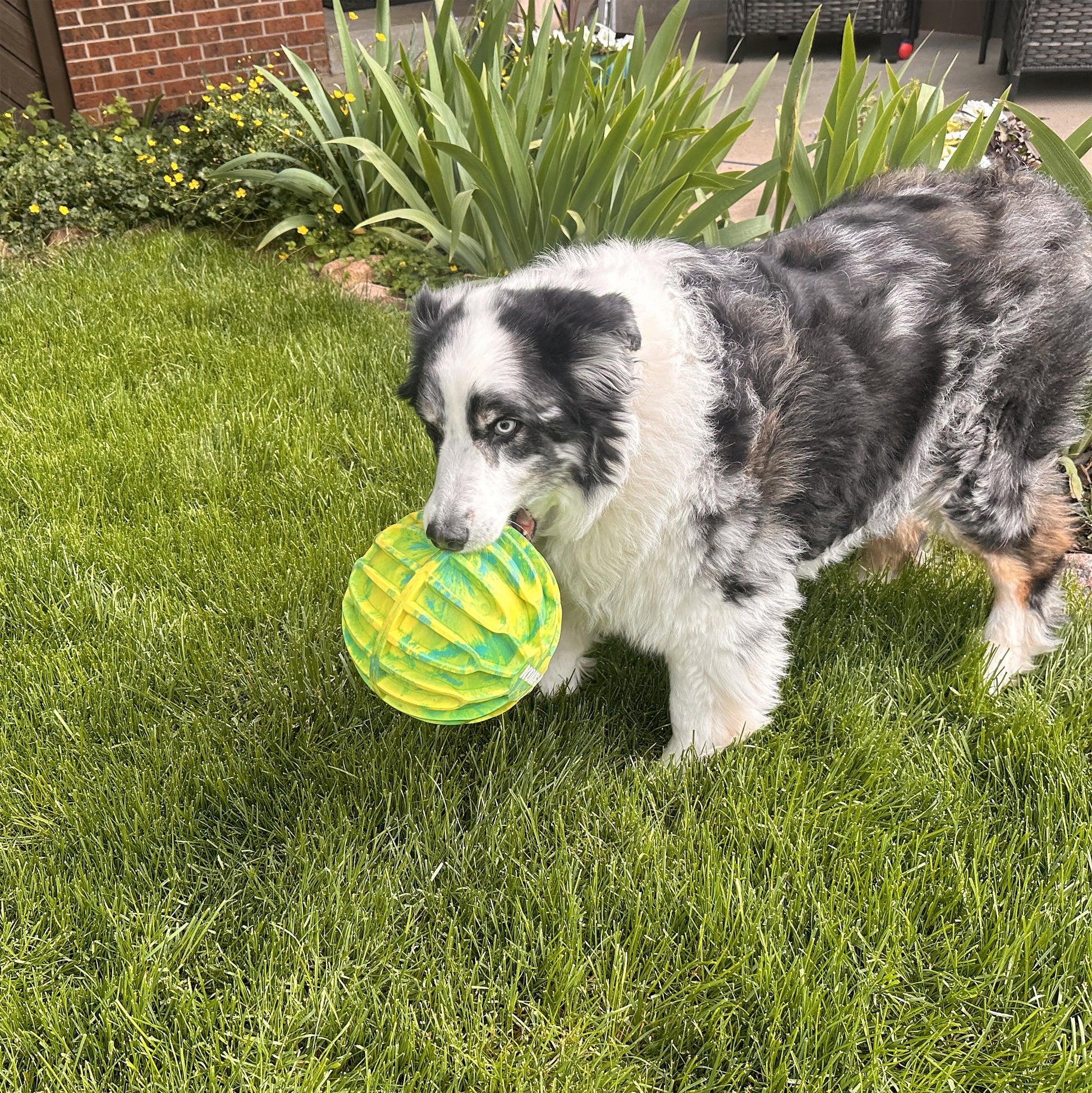 ® Flexball XL Sport Dog Toy