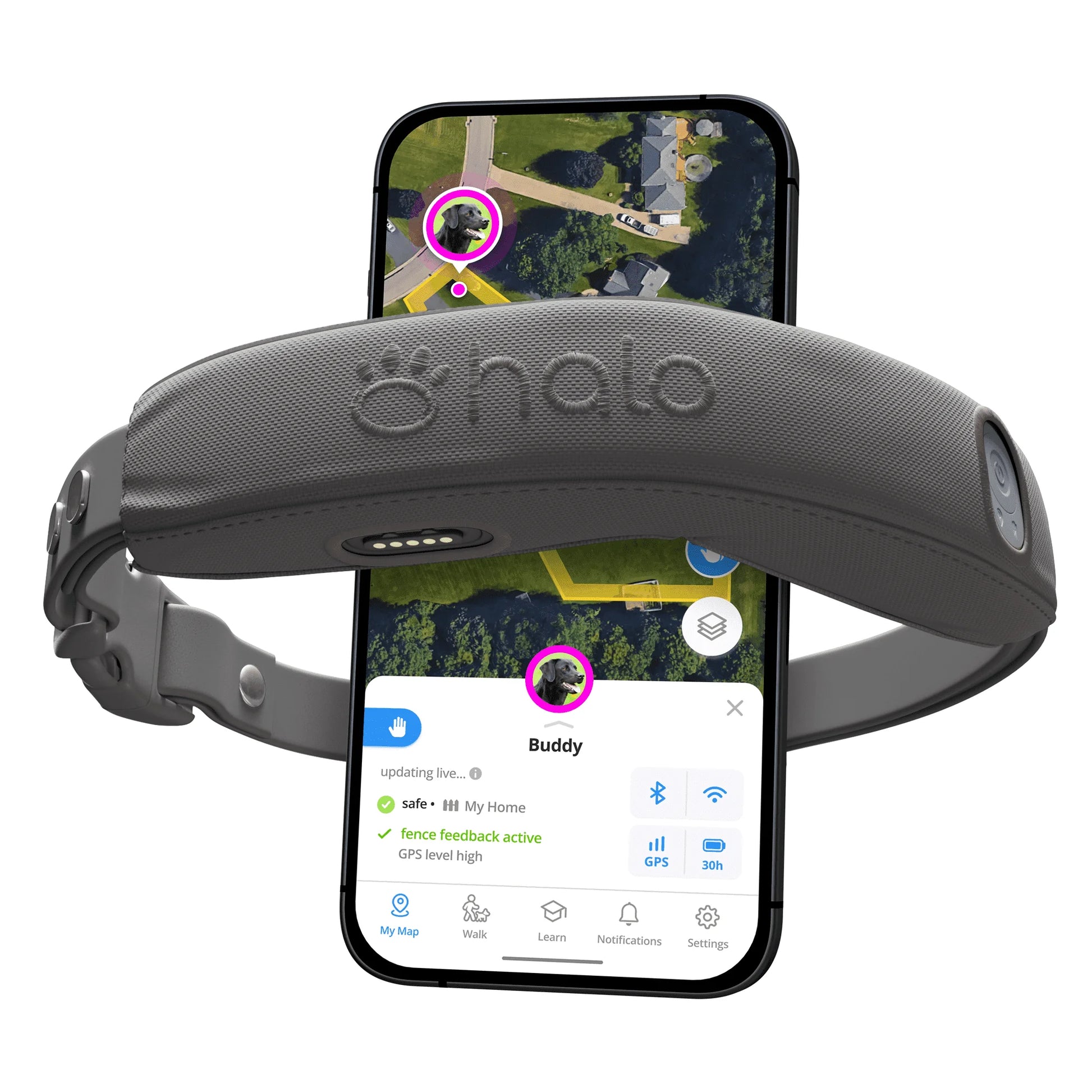 Halo Collar 4: Advanced GPS Wireless Dog Fence with Real-Time Tracking in Graphite