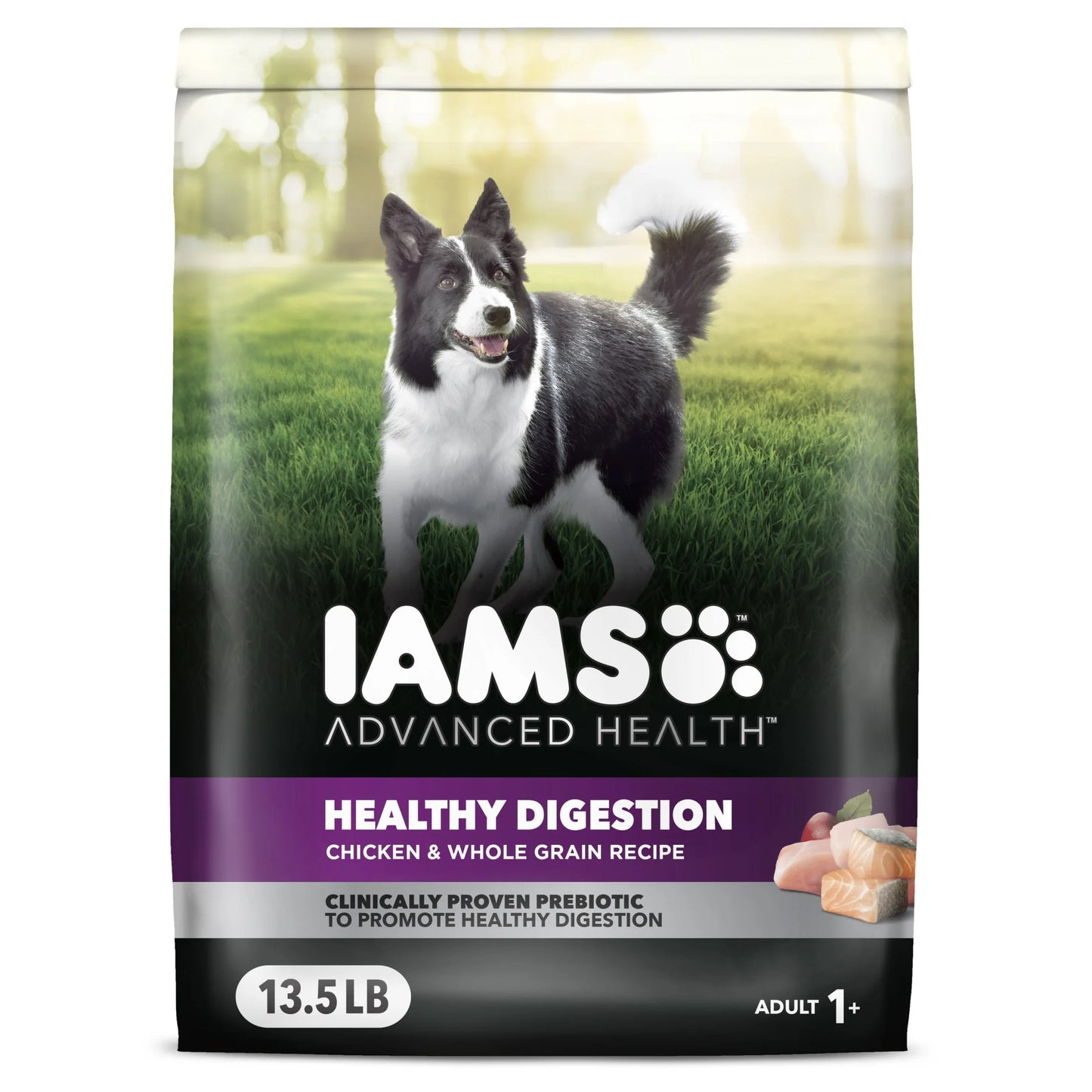 Advanced Health Adult Dry Dog Food for Healthy Digestion with Real Chicken, 13.5 lb Bag