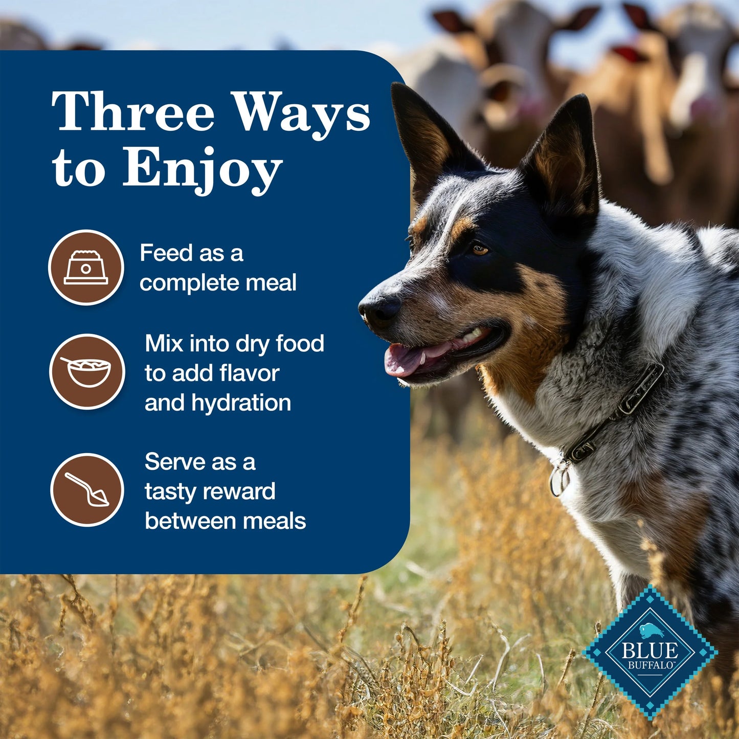 Homestyle Recipe Adult Wet Dog Food, Turkey Dinner, 12.5 oz Can