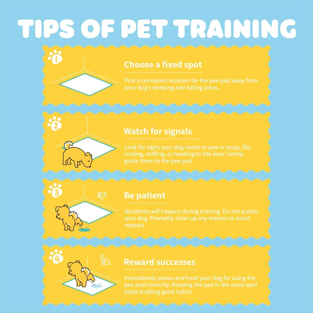 Extra Large 6-Layer Dog Training Pads, 33.5" x 27.5", 100 Count with Enhanced Absorbency