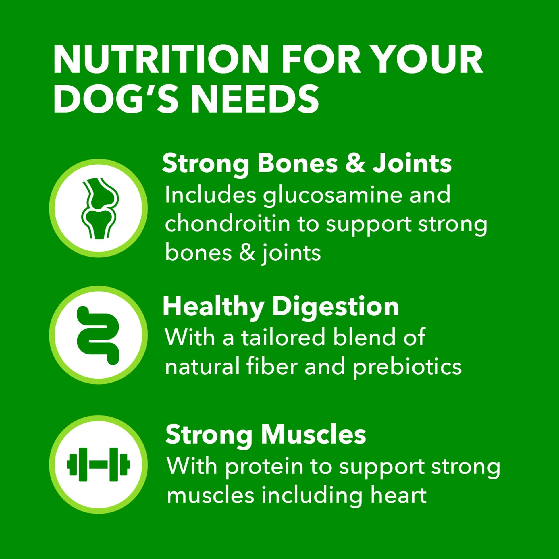 Proactive Health Large Breed Adult Dry Dog Food with Lamb & Rice, 30 lb. Bag