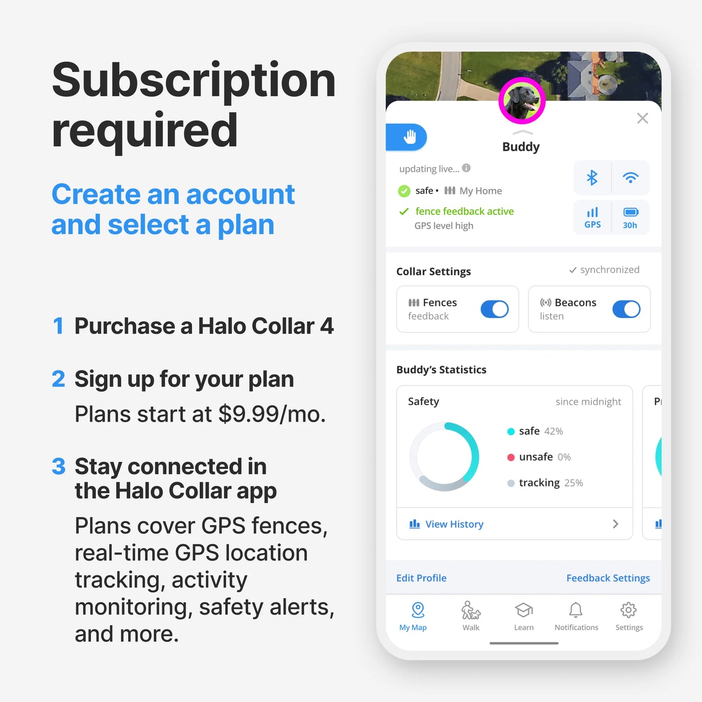 Halo Collar 4: Advanced GPS Wireless Dog Fence with Real-Time Tracking in Graphite