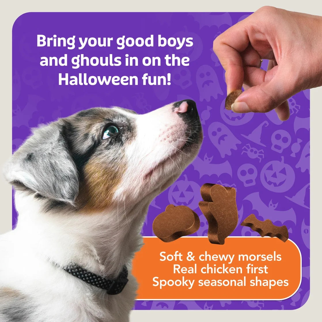 Boo Bits Soft & Chewy Halloween Dog Treats with Tasty Chicken Recipe, 4.5 oz