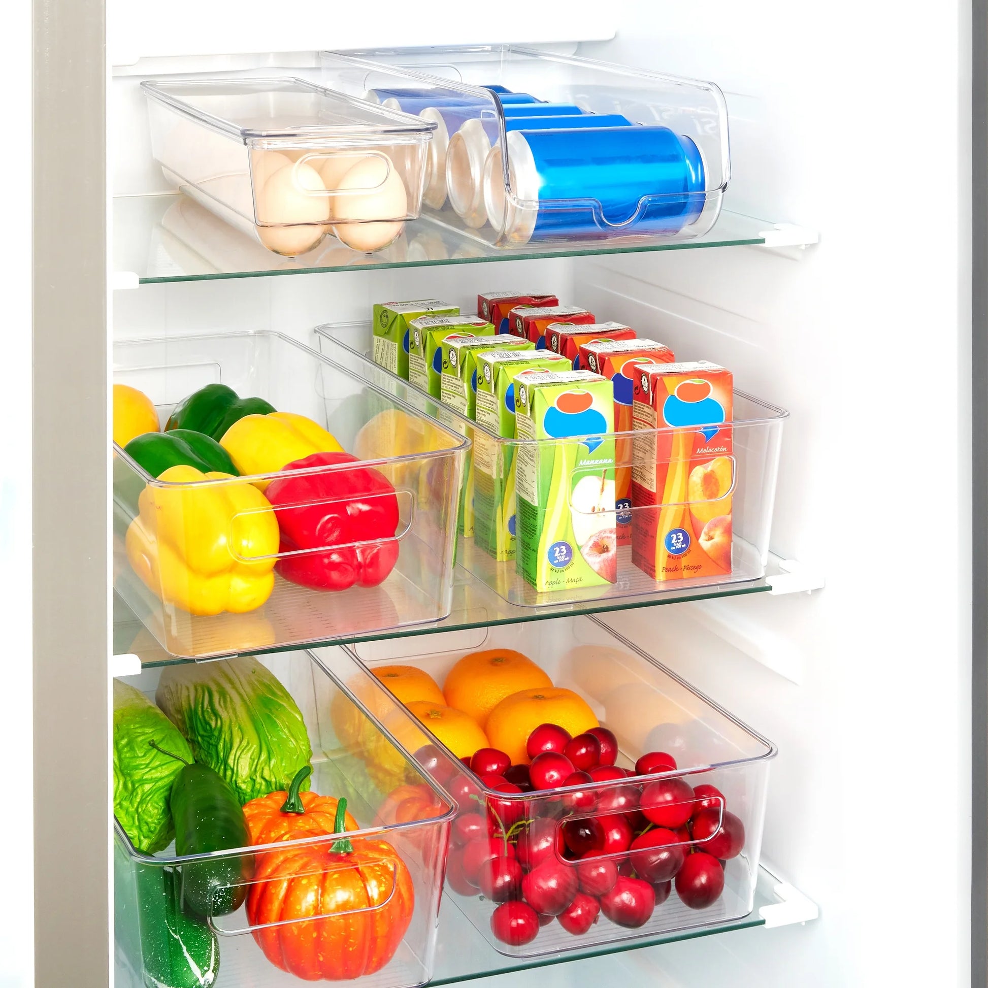 Set of 10 Fridge Organizer, Refrigerator Organizing Bins with Handles, Bpa-Free Clear Plastic Fridge Storage Containers