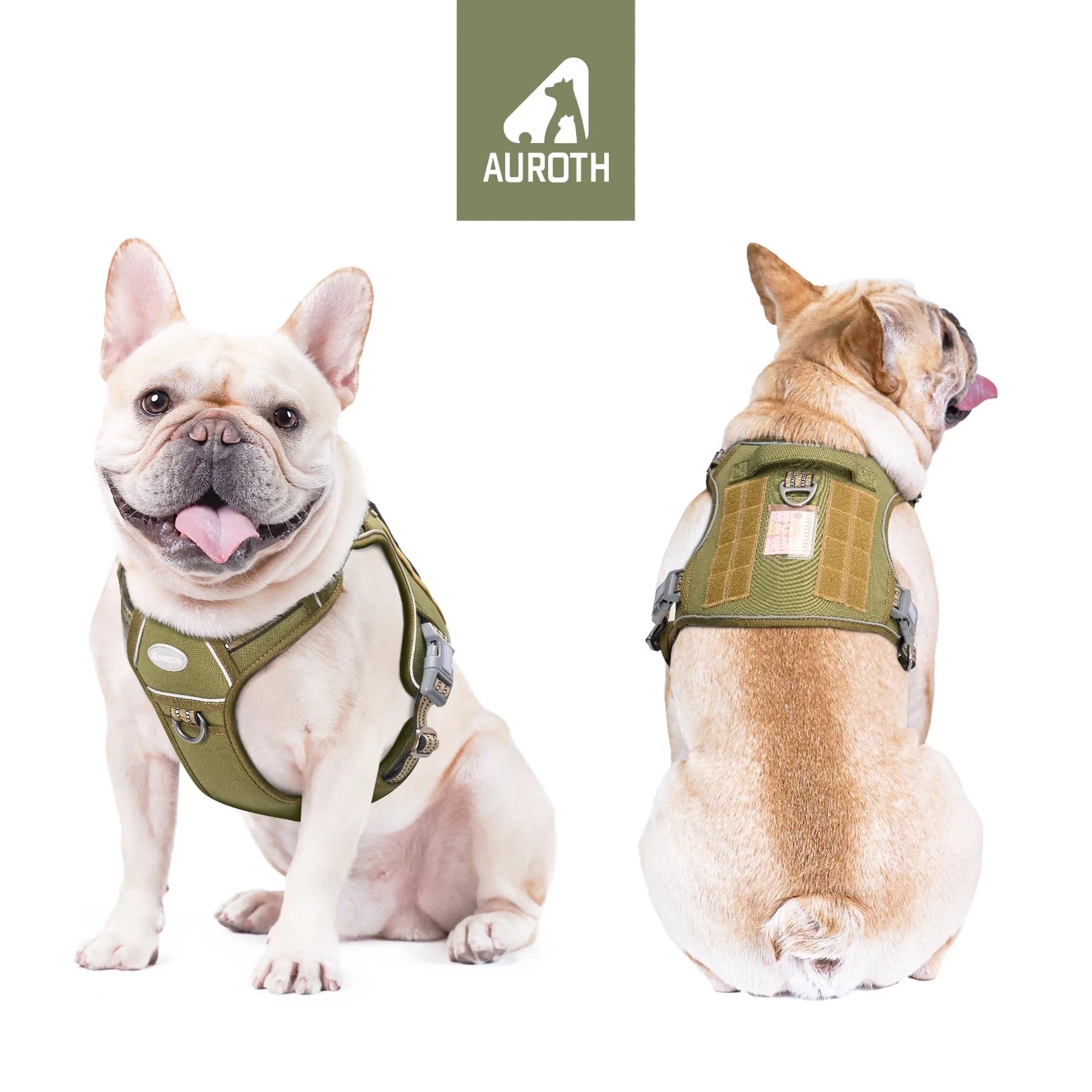 Adjustable No-Pull Dog Harness for Small Breeds, Reflective Soft Padded Vest with Dual Leash Clips for Training and Walking, Green