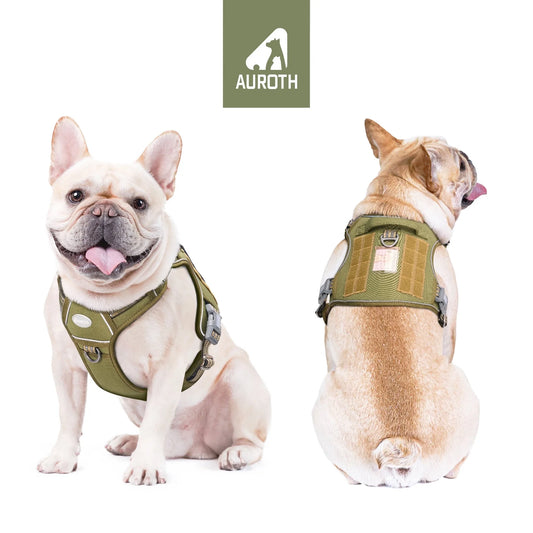 Adjustable No-Pull Dog Harness for Small Breeds, Reflective Soft Padded Vest with Dual Leash Clips for Training and Walking, Green