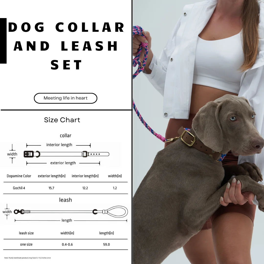 Adjustable Dog Collar and Leash Set, Reflective Collars with Brass Buckle and D-Ring for Medium Dogs Walking and Training