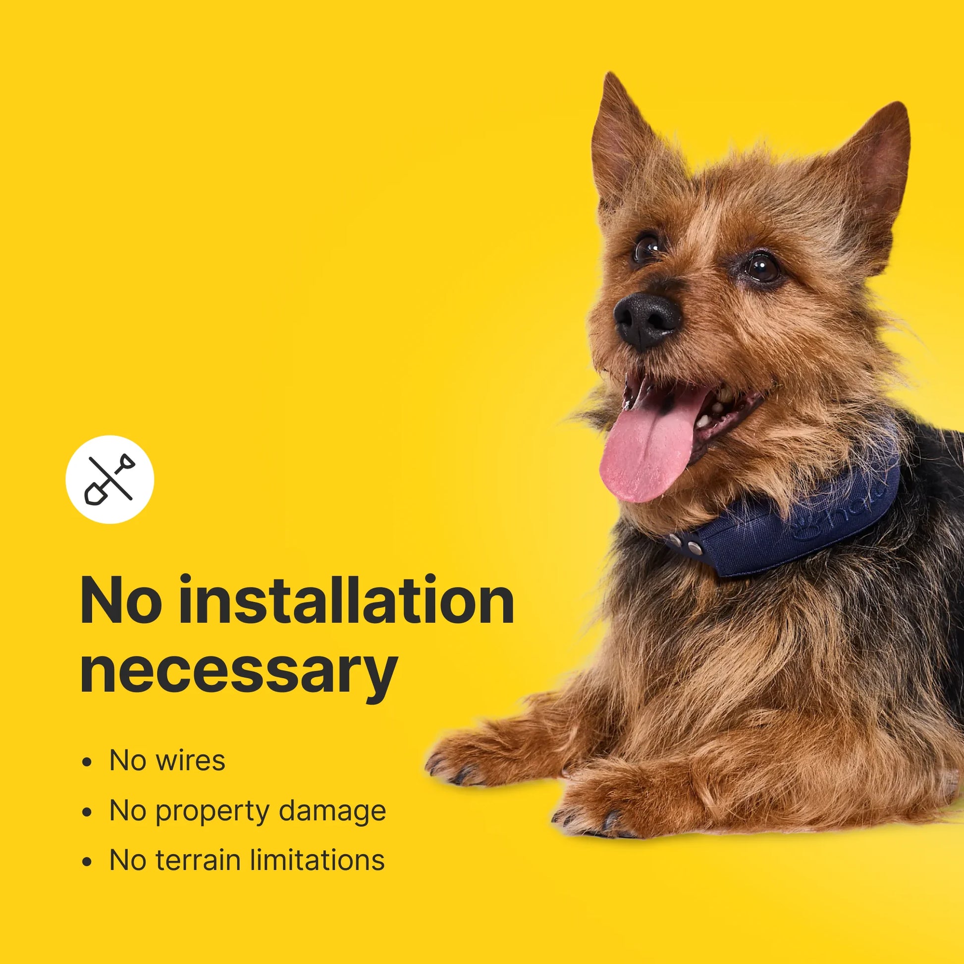 Halo Collar 4: Advanced GPS Wireless Dog Fence with Real-Time Tracking in Graphite