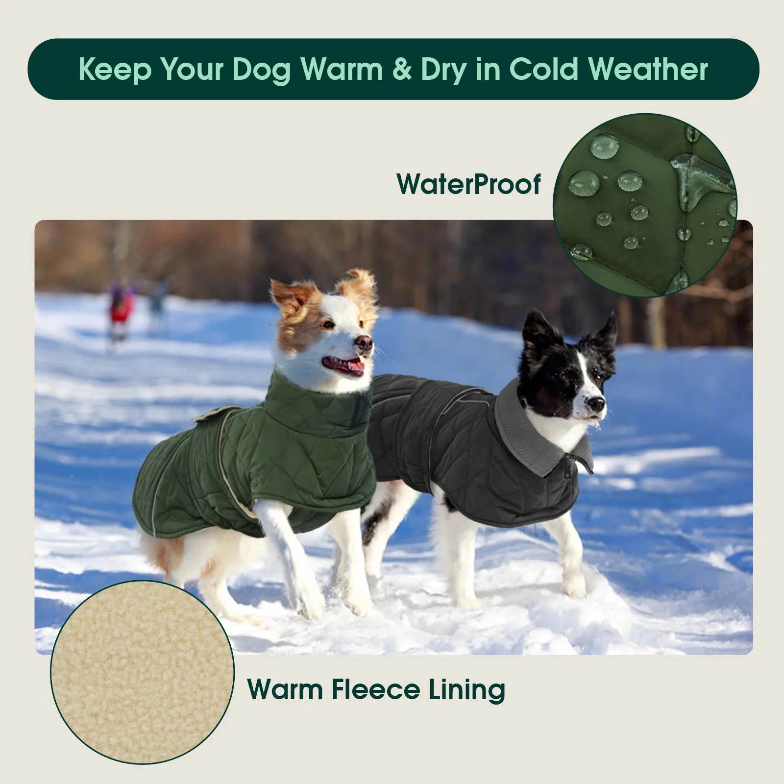 Winter Dog Coat - Warm Jacket for Small, Medium, and Large Dogs in Green, Size M