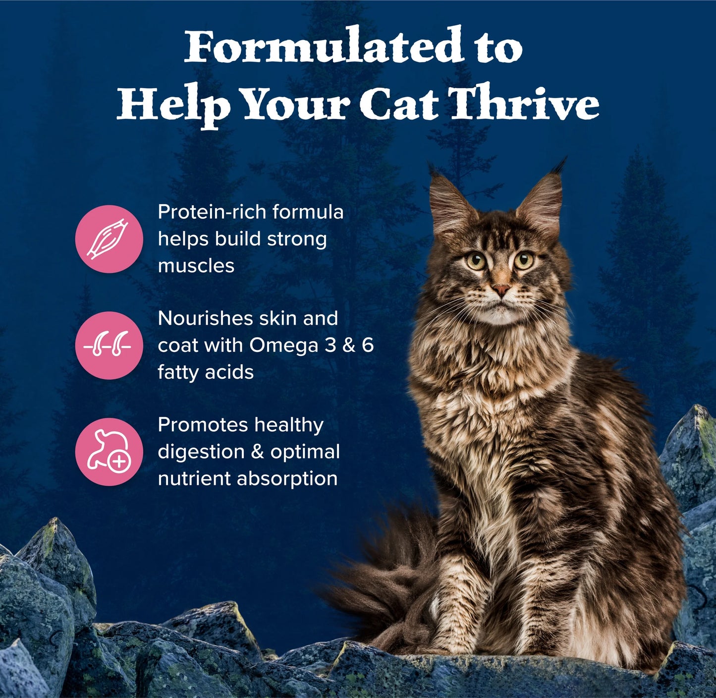 Wilderness Natural High Protein Dry Food for Adult Cats, Salmon, 4-Lb Bag