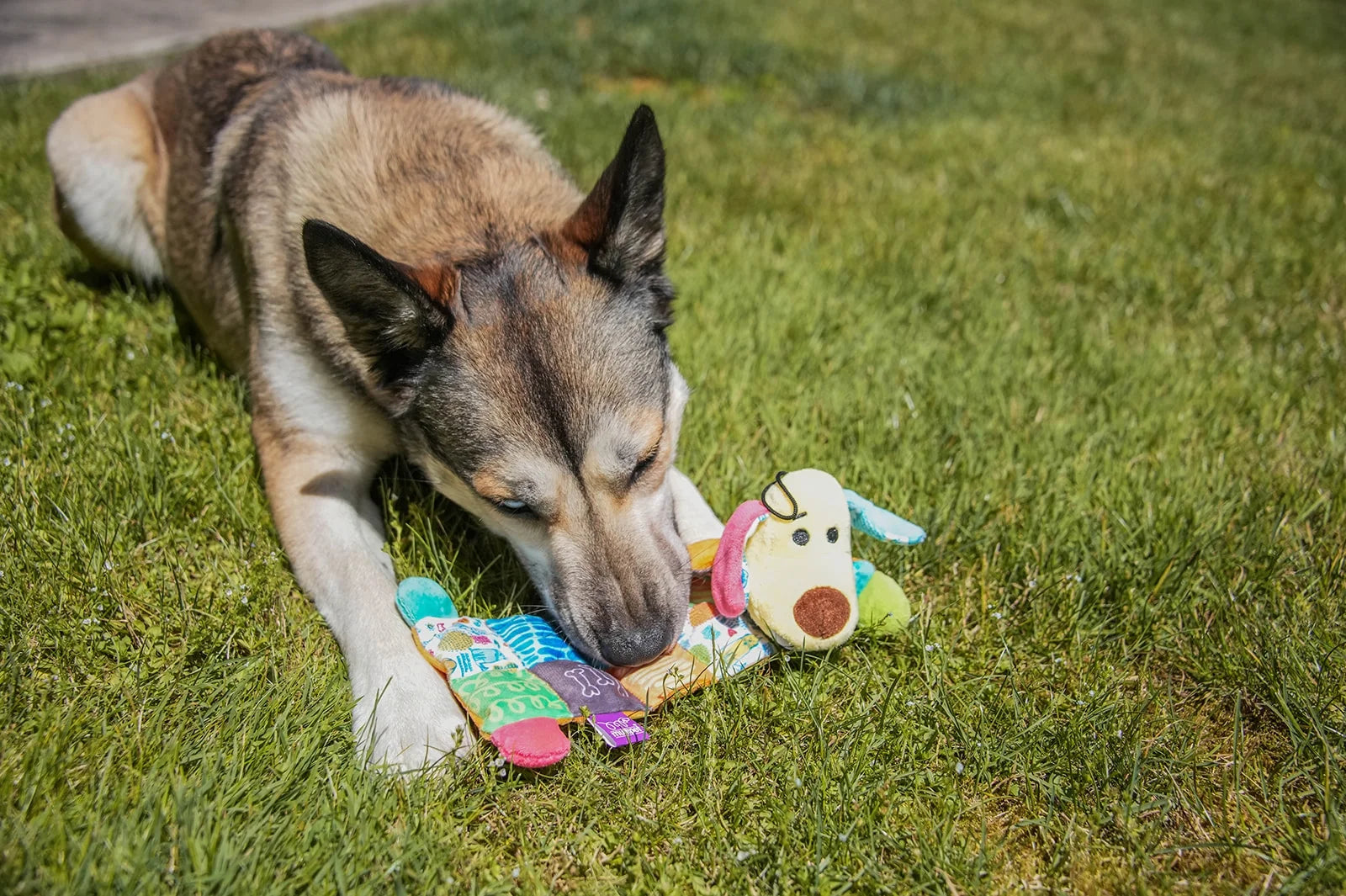 Plush Dog Toy - Smiling Loofa Mat, 12 Inches with 13 Squeakers