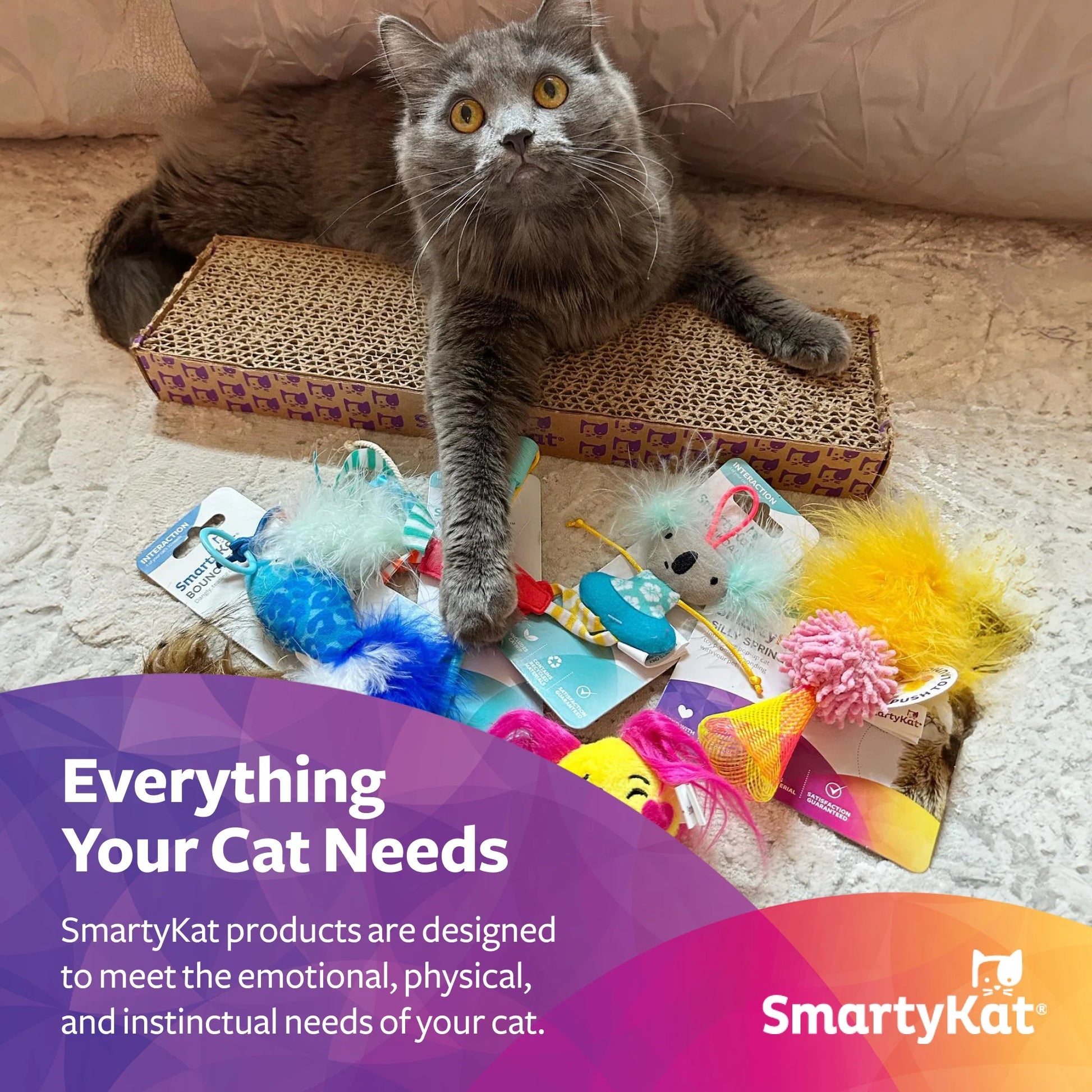 Track Tizzy Motion Cat Toy –Electronic Interactive Pet Toy, Blue