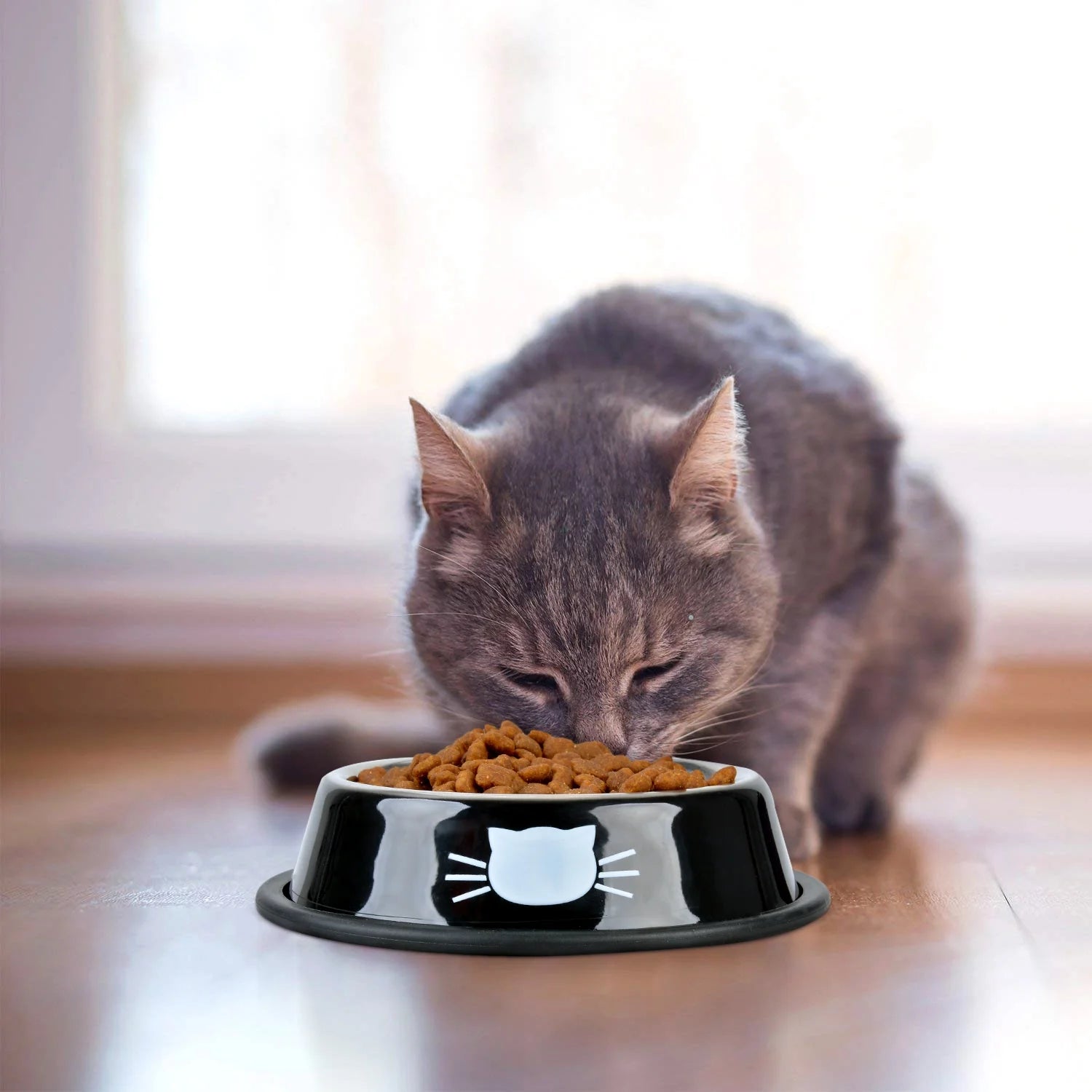 2PCS Pet Bowl Stainless Steel Non-Skid Cute Dog Bowl Cat Bowl with 2 Food Scoop