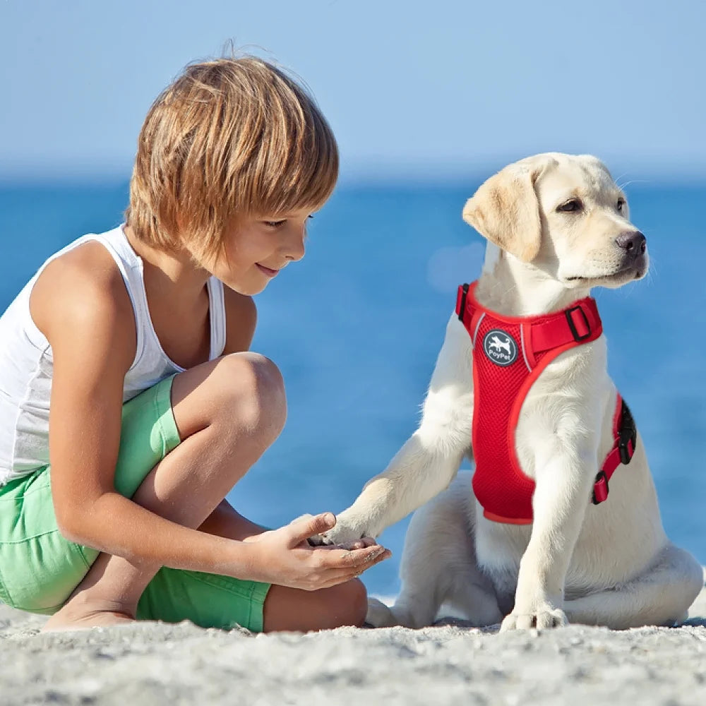 Reflective Dog Harness,Soft Breathable Mesh Pet Walking Pet Harness Choke-Free Adjustable Neck ,Red S